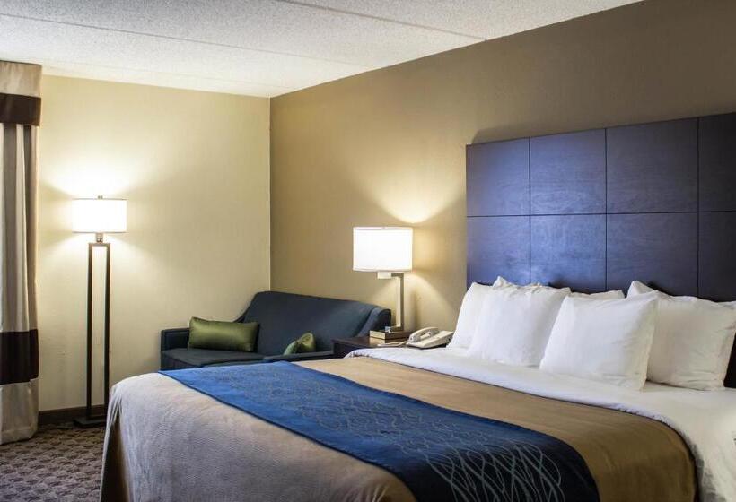 Стандартный Номер Кровать Кинг, Comfort Inn & Suites Fuquay Varina