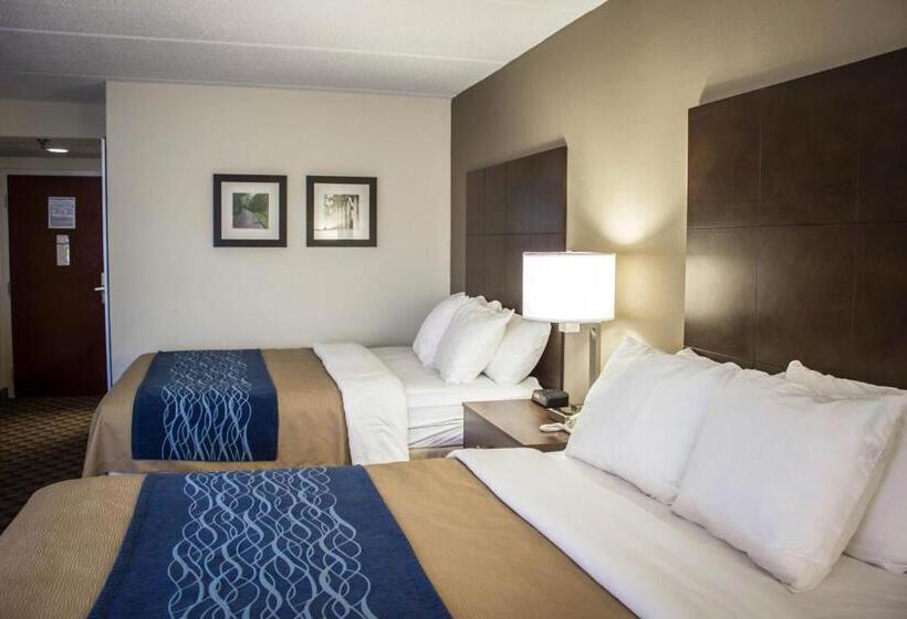 Номер Стандарт, Comfort Inn & Suites Fuquay Varina