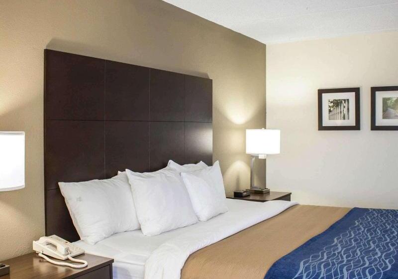 Люкс Кровать Кинг, Comfort Inn & Suites Fuquay Varina