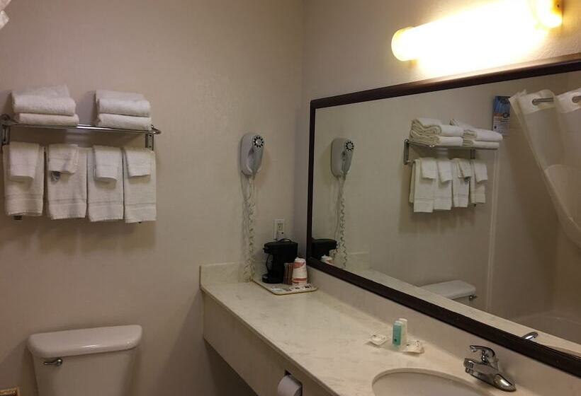 Номер Стандарт 2 Двуспальные Кровати, Quality Inn I94 Near Wings Stadium