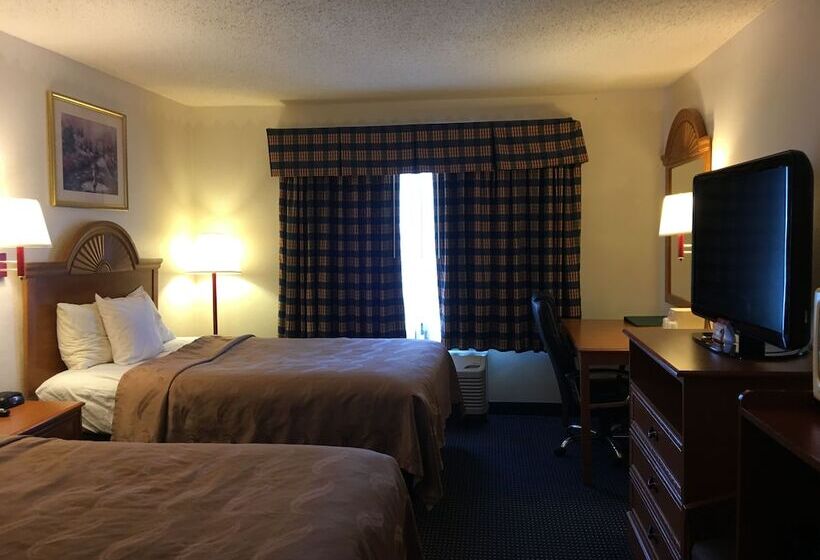 Номер Стандарт 2 Двуспальные Кровати, Quality Inn I94 Near Wings Stadium