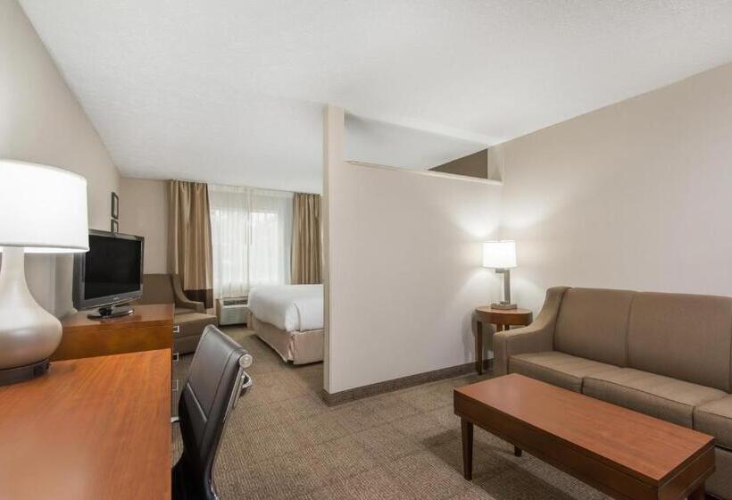 주니어 스위트 킹사이즈 침대, Wyndham Garden Hotel Cross Lanes Charleston