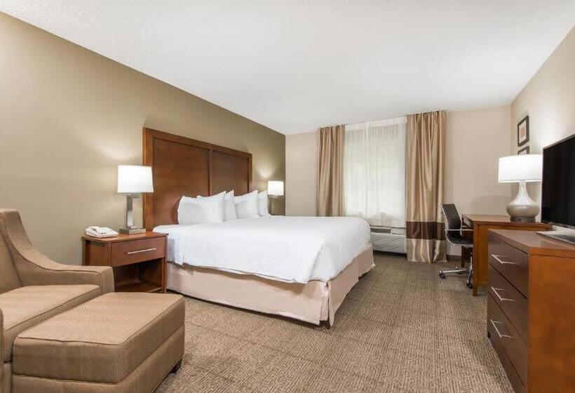 장애인을 위한 킹사이즈 침대 스탠다드 룸, Wyndham Garden Hotel Cross Lanes Charleston