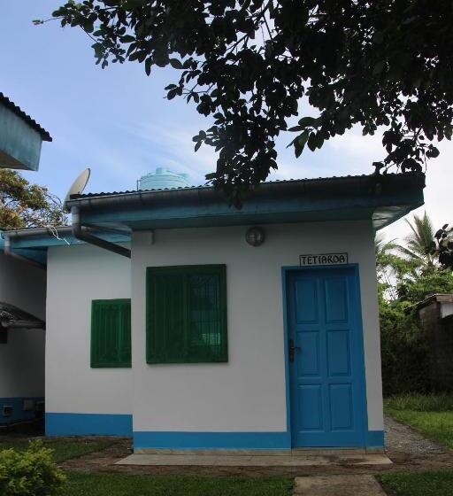 استودیو استاندارد با چشم‌انداز باغ, Ocean Si Mansion