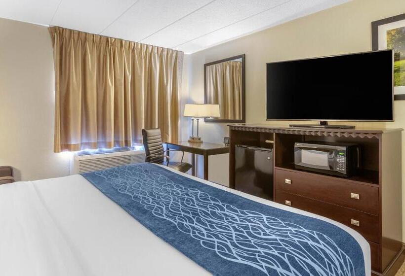 Стандартный Номер Кровать Кинг, Comfort Inn Grand Rapids Airport