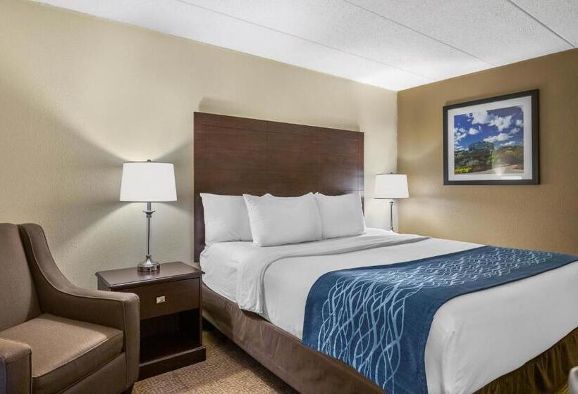 Номер Стандарт Кровать Кинг Адаптированный для Инвалидов, Comfort Inn Grand Rapids Airport