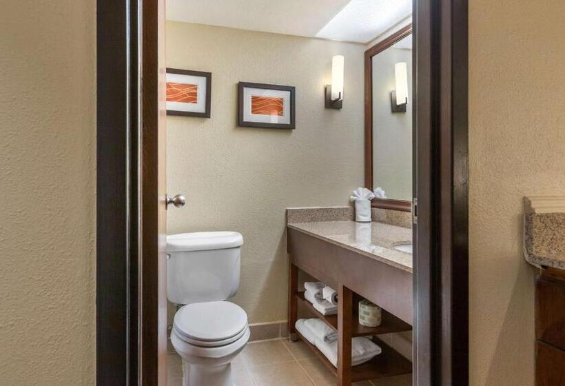 Номер Стандарт с Балконом, Comfort Inn Grand Rapids Airport