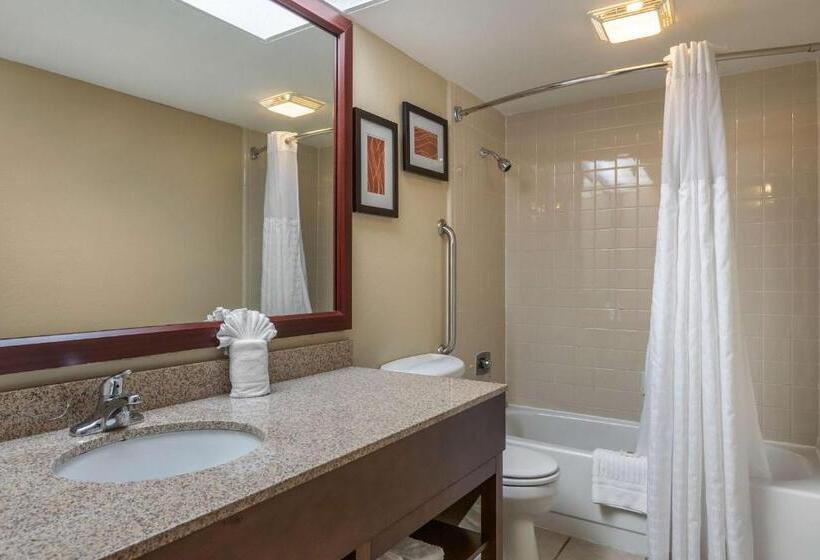 Номер Стандарт 2 Двуспальные Кровати, Comfort Inn Grand Rapids Airport