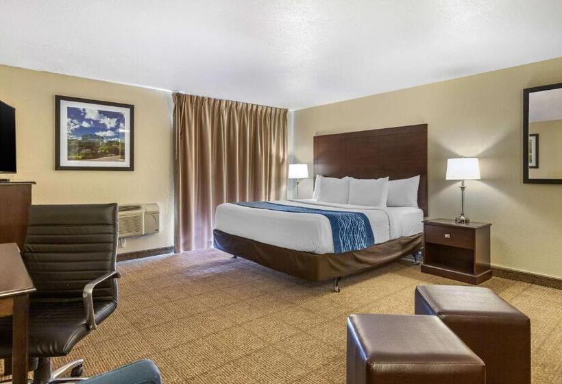 Люкс Кровать Кинг, Comfort Inn Grand Rapids Airport