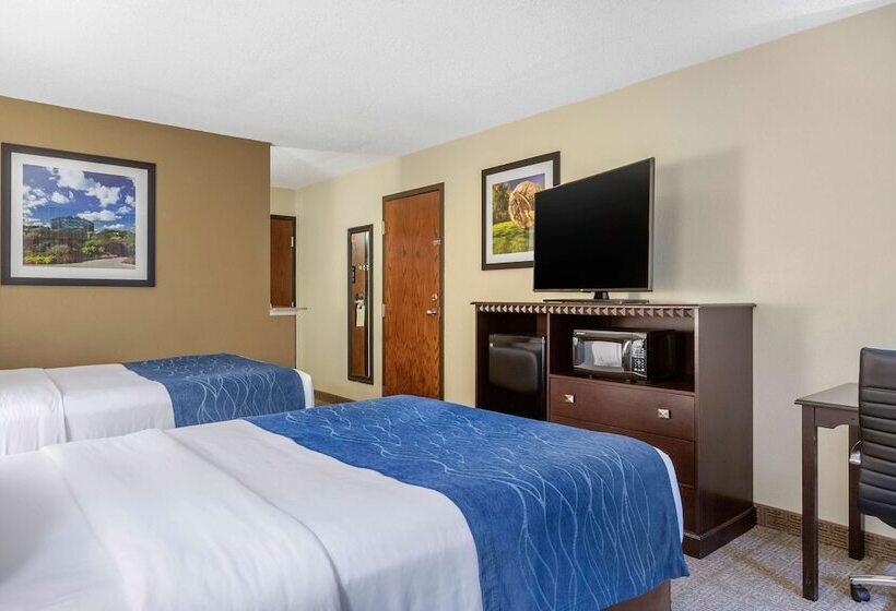 Номер Стандарт 2 Двуспальные Кровати, Comfort Inn Grand Rapids Airport