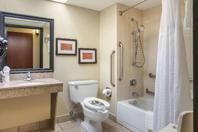 Стандартный Номер Кровать Кинг, Comfort Inn Grand Rapids Airport