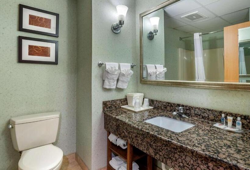 Люкс, Comfort Suites