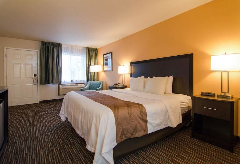 Номер Deluxe, Cottage Grove Inn