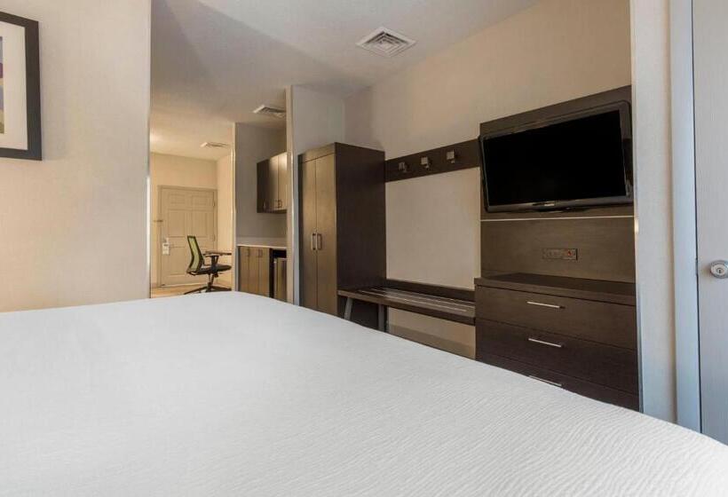 Люкс Кровать Кинг, Holiday Inn Express And Suites Chicago West   St Charles, An Ihg