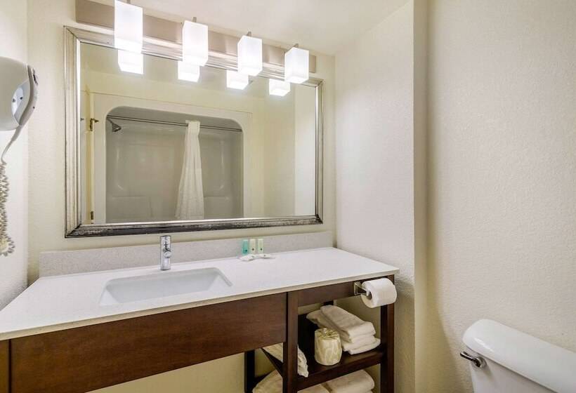 Номер Стандарт 2 Двуспальные Кровати, Quality Inn & Suites Olde Town