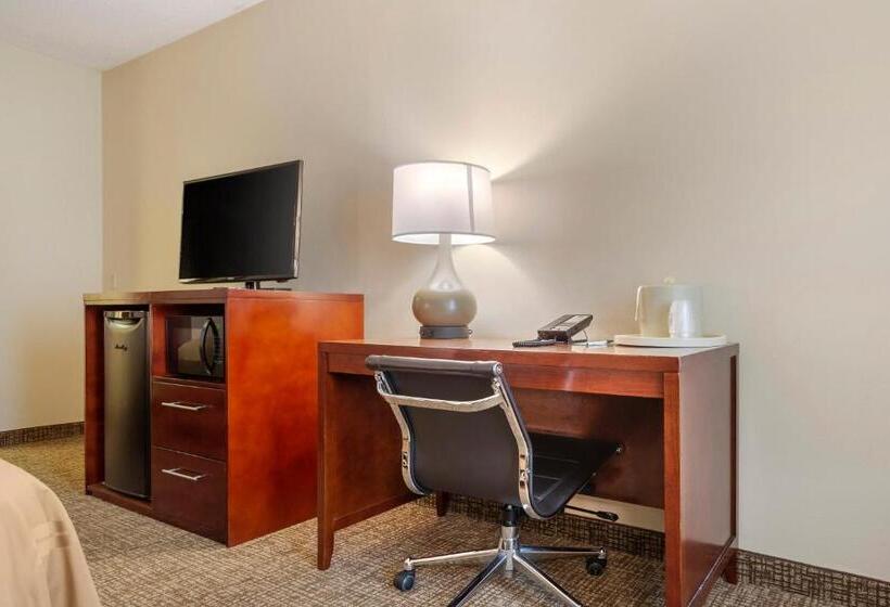 장애인을 위한 킹사이즈 침대 스탠다드 룸, Quality Inn & Suites Olde Town