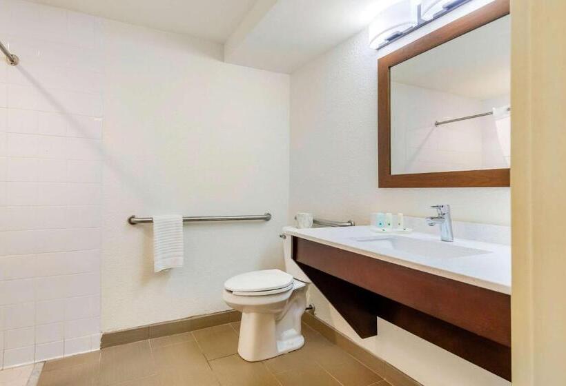 장애인을 위한 킹사이즈 침대 스탠다드 룸, Quality Inn & Suites Olde Town