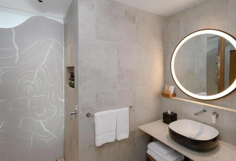 带观景的标准间, Crowne Plaza Hobart, An Ihg
