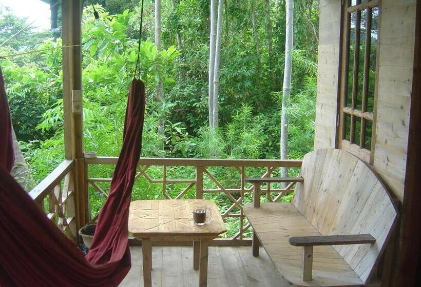 Номер Стандарт Совместная Ванная, Olala Café & Bungalows