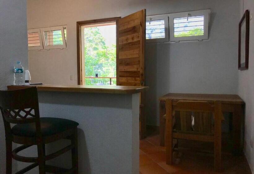 آپارتمان 1 خوابه با چشم‌انداز, Rio