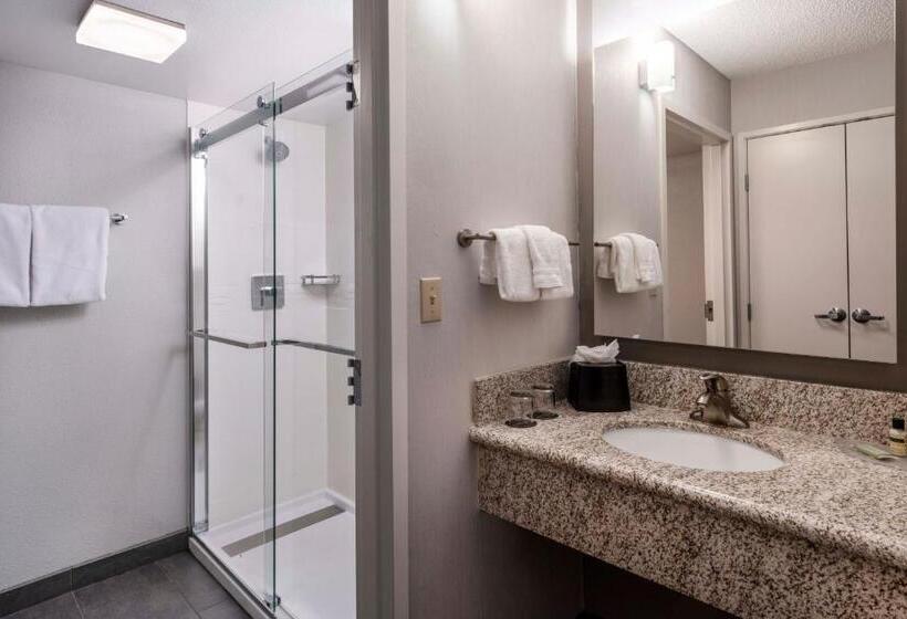 Номер Стандарт, Courtyard Denver Southwest/lakewood