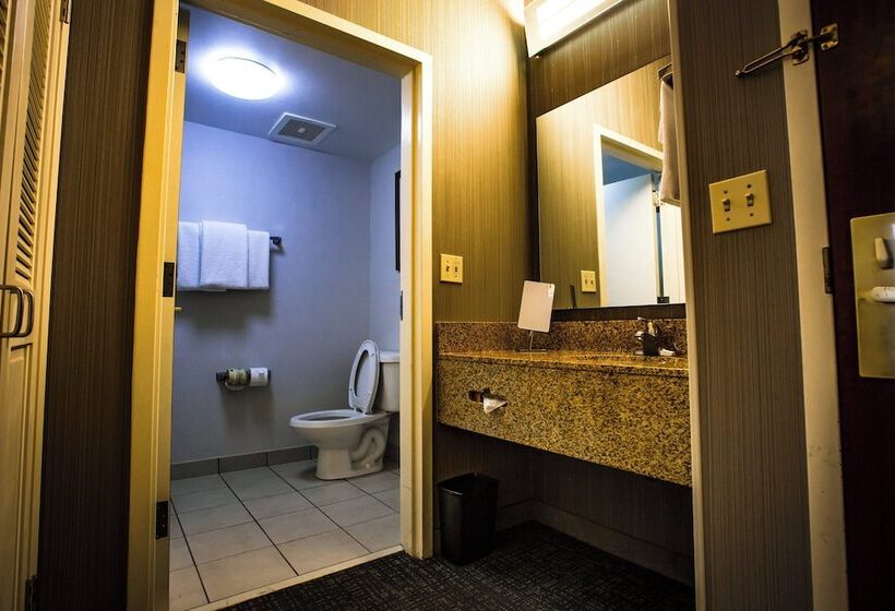 Chambre Standard 2 Lits Doubles, Courtyard Memphis East/bill Morris Parkway