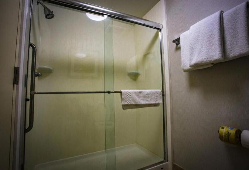 Chambre Standard Lit King Size, Courtyard Memphis East/bill Morris Parkway