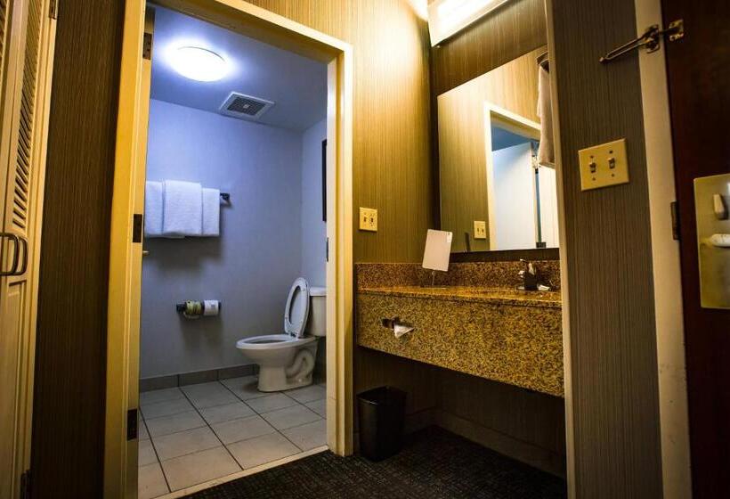 Chambre Standard Lit King Size Adaptée aux Personnes à Mobilité Réduite, Courtyard Memphis East/bill Morris Parkway