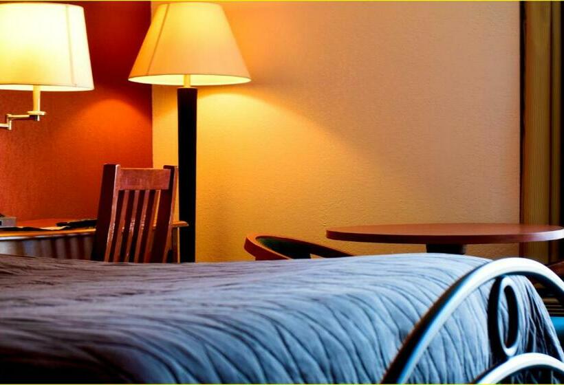 חדר סטנדרט עם מיטת קינג, Stay Inn   Bartow