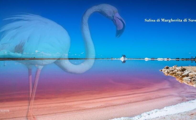Quarto Estandar, La Perla Delle Saline
