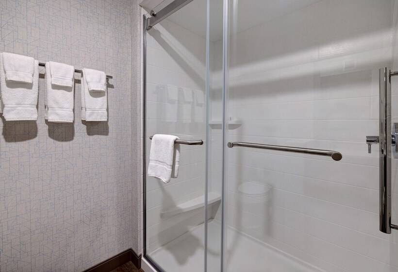 套房, Holiday Inn Express & Suites   Ann Arbor   University South, An Ihg