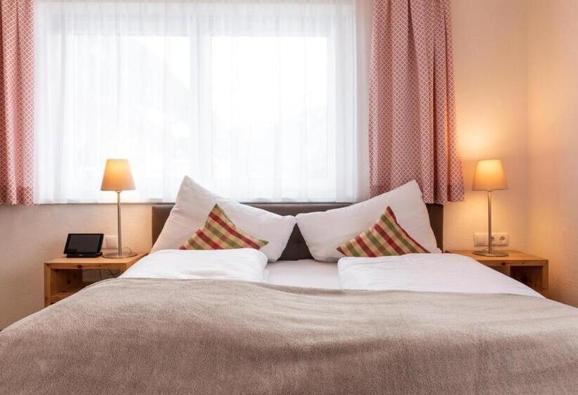 Апартаменты 1 Спальня с Балконом, Pitztal Living