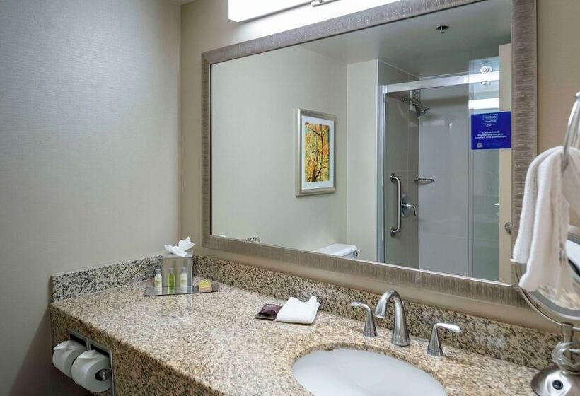 Номер Стандарт, Doubletree By Hilton Kansas City  Overland Park