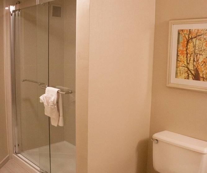 Номер Стандарт 2 Двуспальные Кровати, Doubletree By Hilton Kansas City  Overland Park