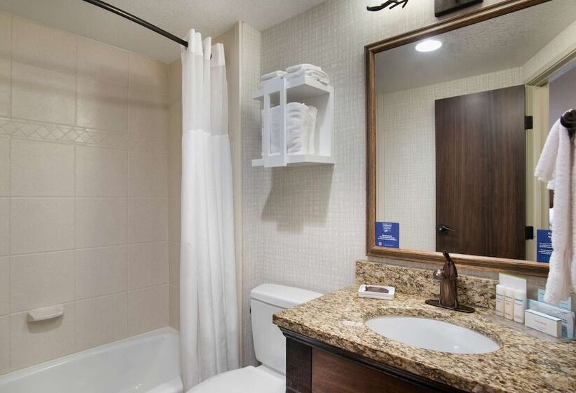 Номер Стандарт, Hampton Inn Jackson Hole