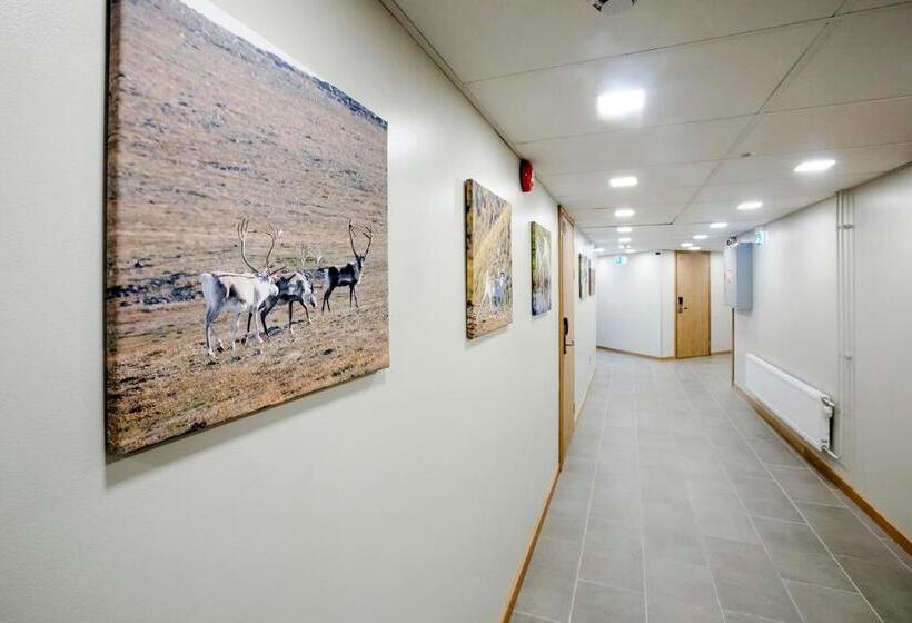 Номер Стандарт Индивидуальный, Hostel Toivola