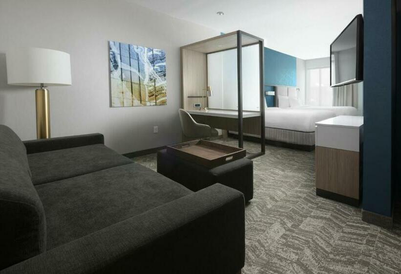Люкс, Springhill Suites By Marriott Texas City