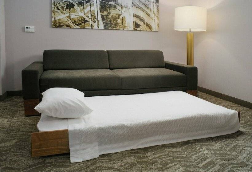 Люкс, Springhill Suites By Marriott Texas City
