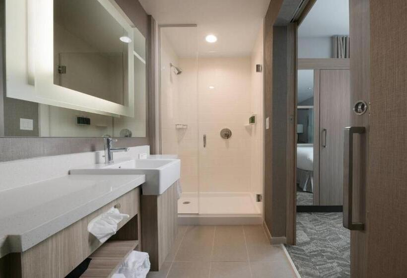 Люкс, Springhill Suites By Marriott Texas City