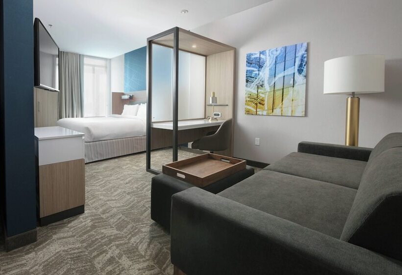 Люкс, Springhill Suites By Marriott Texas City