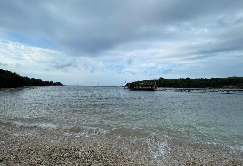 اتاق خانوادگی, Bb Ld