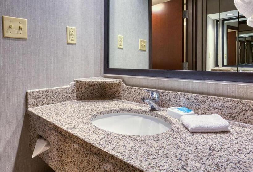 Люкс Кровать Кинг, Drury Inn & Suites St. Louis Airport