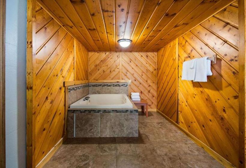 Люкс Deluxe Кровать Кинг, Econo Lodge Duluth Near Miller Hill Mall