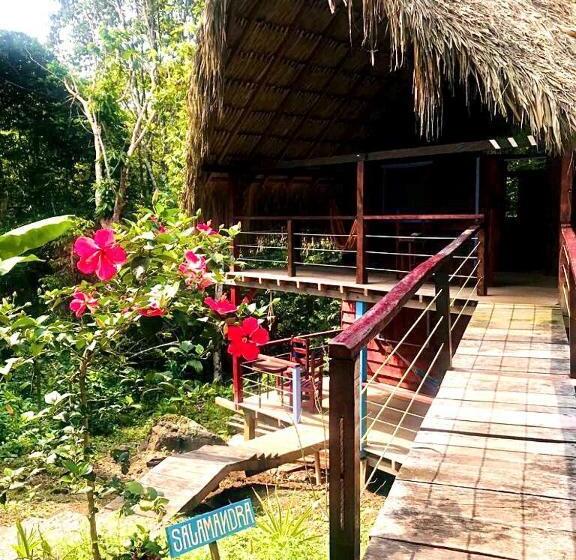 اتاق استاندارد, Hostal Doble Vista