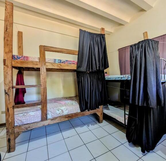 공동 객실, Screaming Gecko Hostel