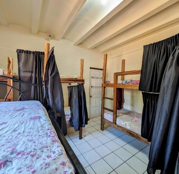 공동 객실, Screaming Gecko Hostel