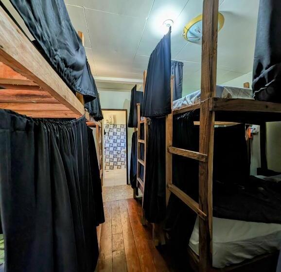 디럭스 패밀리 룸, Screaming Gecko Hostel