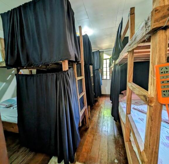 디럭스 패밀리 룸, Screaming Gecko Hostel