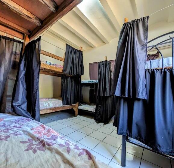 공동 객실, Screaming Gecko Hostel