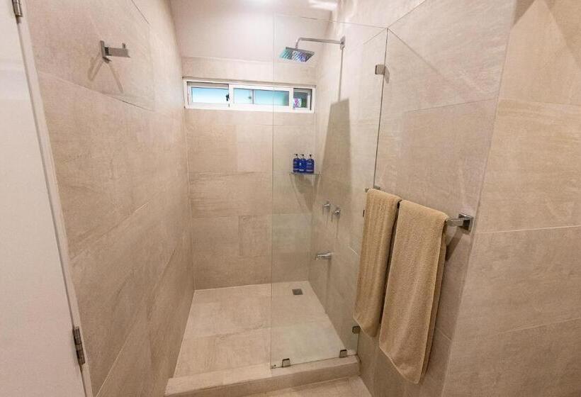 四人豪华间, Aves Hotel Montezuma